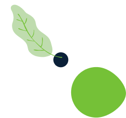 about-1-leaf